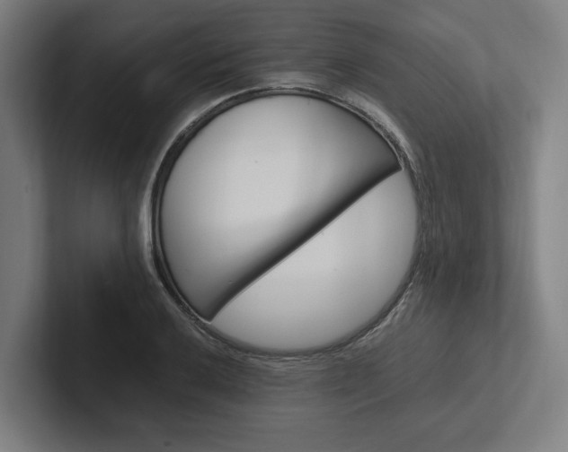 X0000102381032200808010910