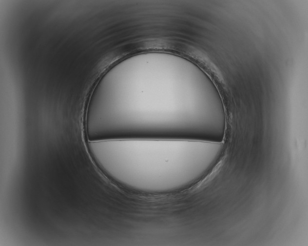 X0000102381033200808010910