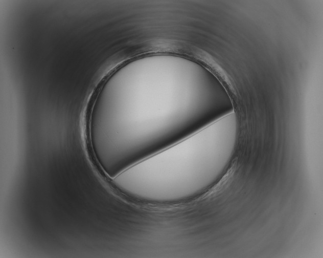 X0000102381034200808010910