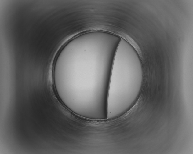 X0000102381036200808010910