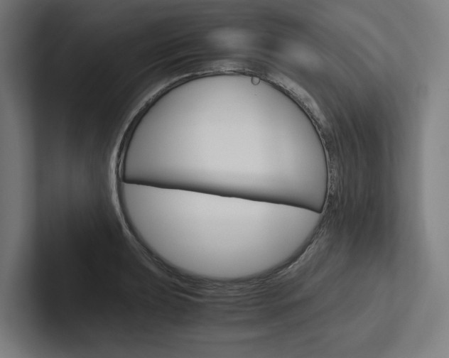 X0000102381039200808010910