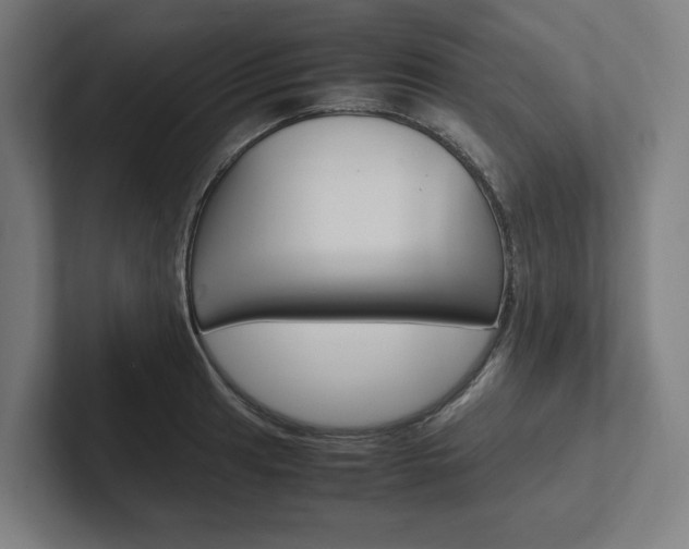 X0000102381041200808010910