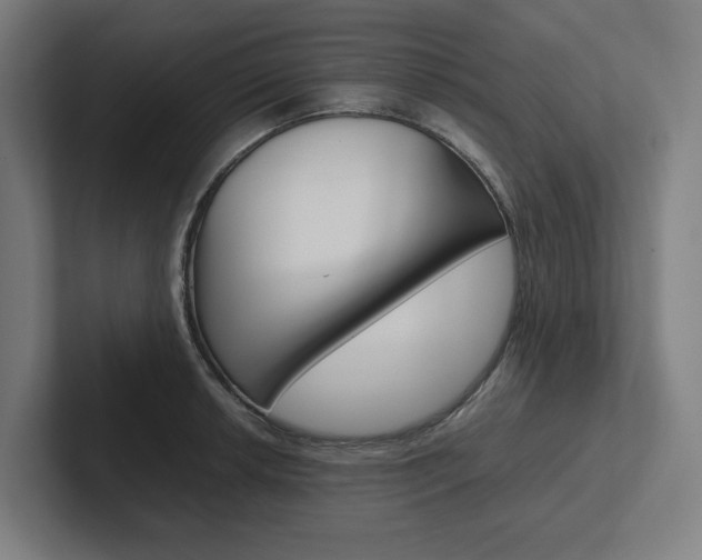 X0000102381042200808010910