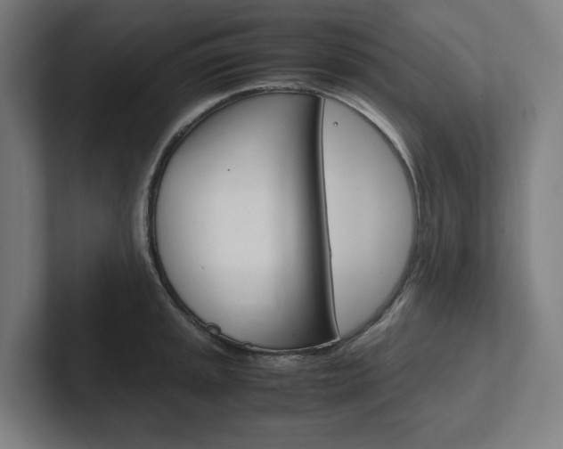 X0000102381045200808010910