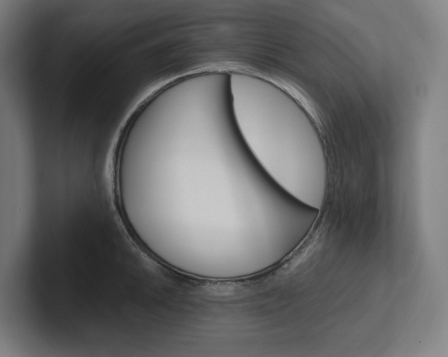 X0000102381046200808010910