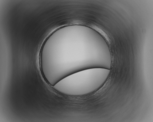 X0000102381047200808010910