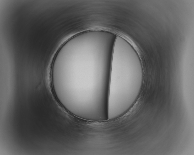 X0000102381048200808010910