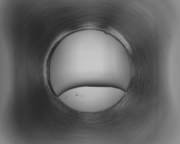 X0000102381051200808010910
