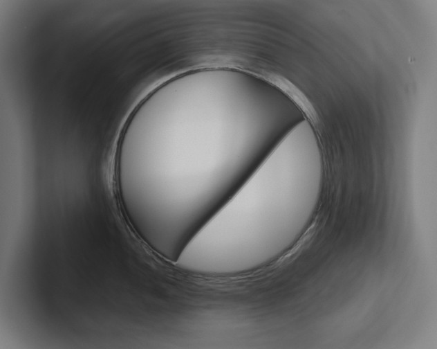 X0000102381052200808010910