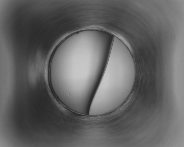X0000102381054200808010910