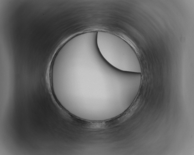 X0000102381055200808010910