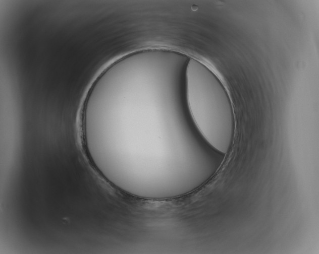 X0000102381056200808010910