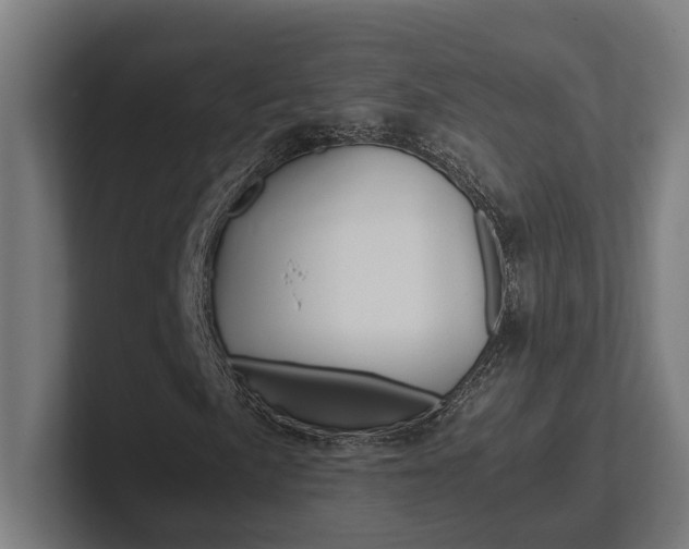 X0000102381057200808010910