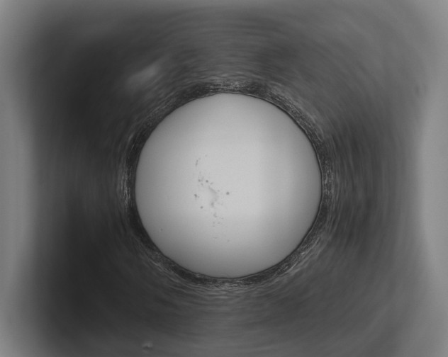 X0000102381058200808010910