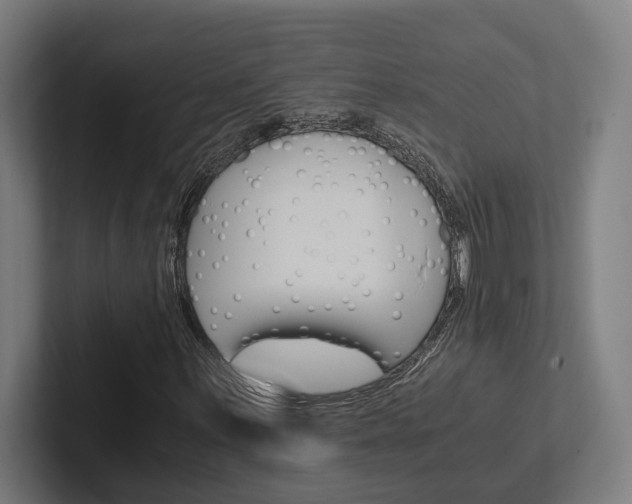 X0000102381059200808010910