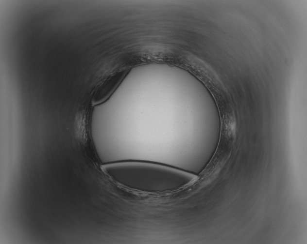 X0000102381060200808010910