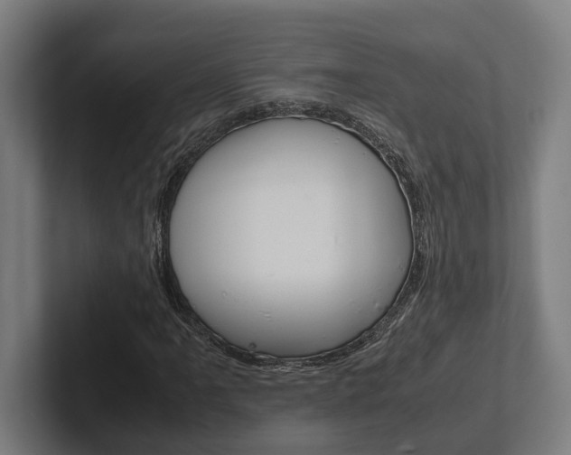 X0000102381061200808010910