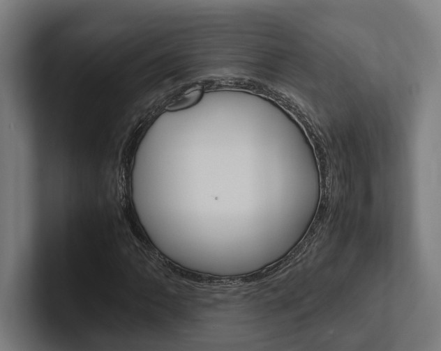 X0000102381062200808010910