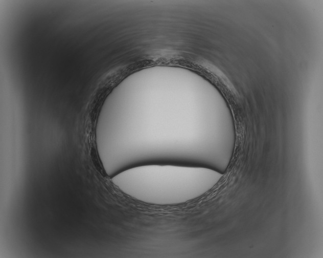 X0000102381063200808010910