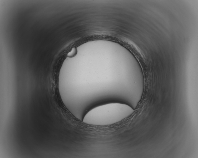 X0000102381064200808010910