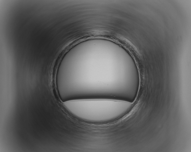 X0000102381065200808010910