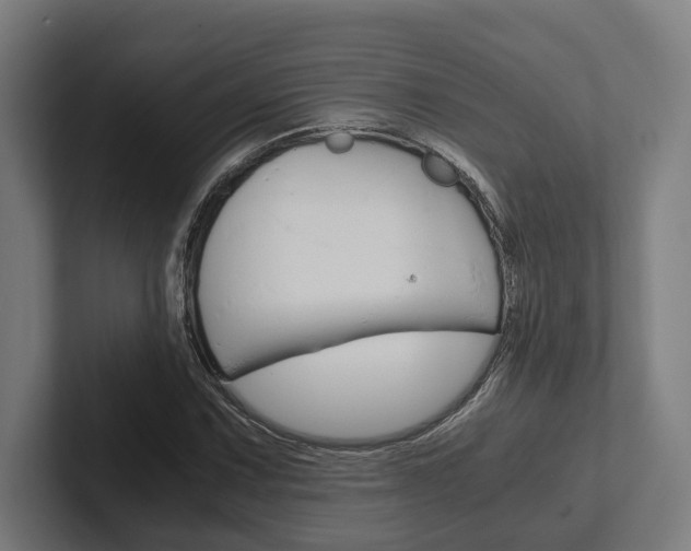X0000102381067200808010910