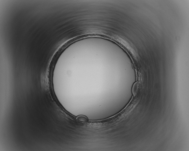 X0000102381068200808010910