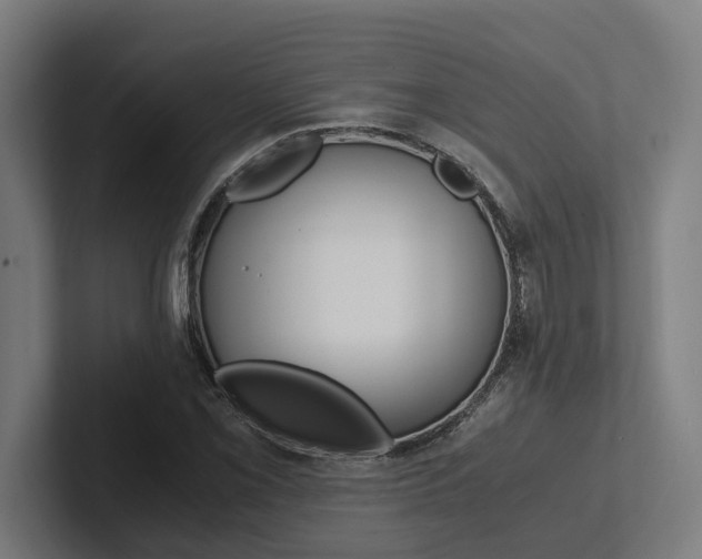 X0000102381069200808010910