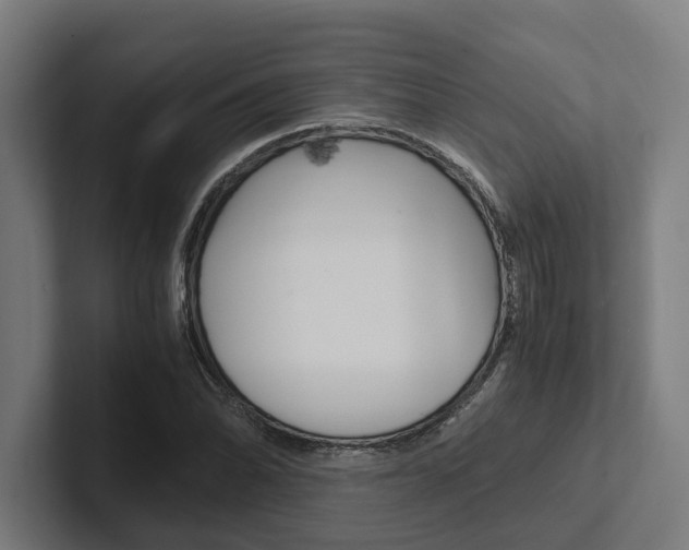 X0000102381070200808010910