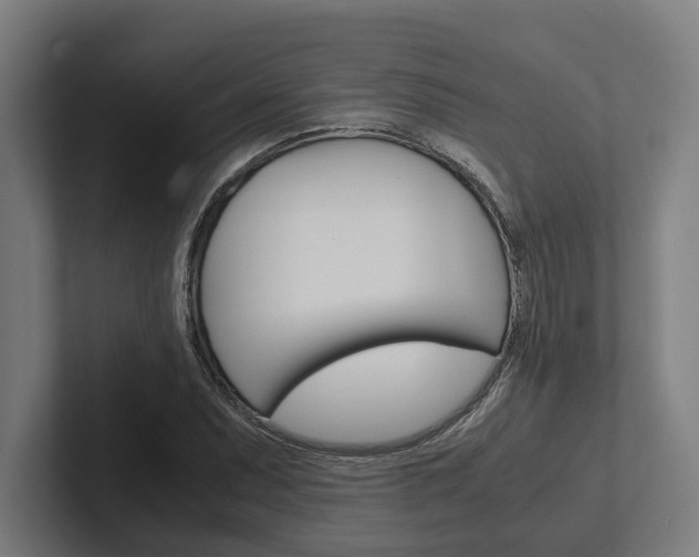X0000102381071200808010910