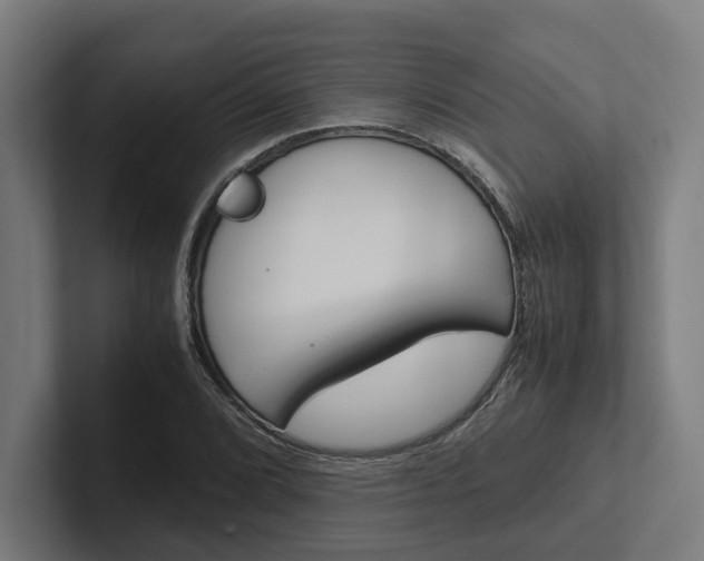 X0000102381072200808010910