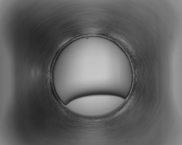 X0000102381073200808010910