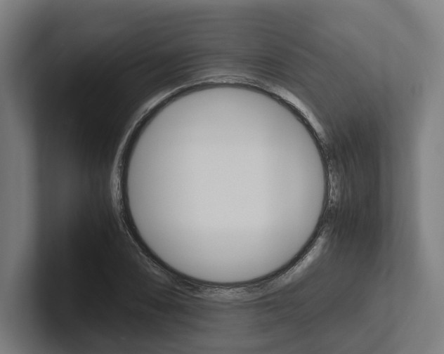 X0000102381074200808010910