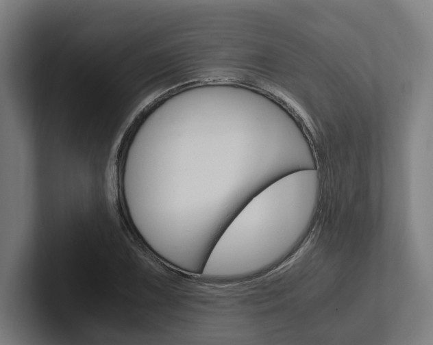 X0000102381075200808010909