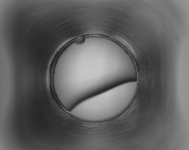X0000102381076200808010909