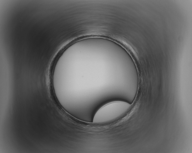 X0000102381077200808010909