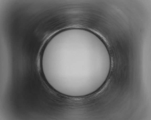 X0000102381078200808010909