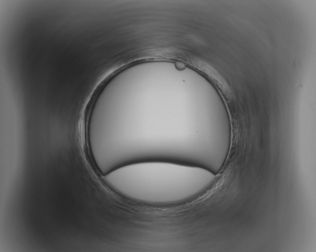 X0000102381079200808010909