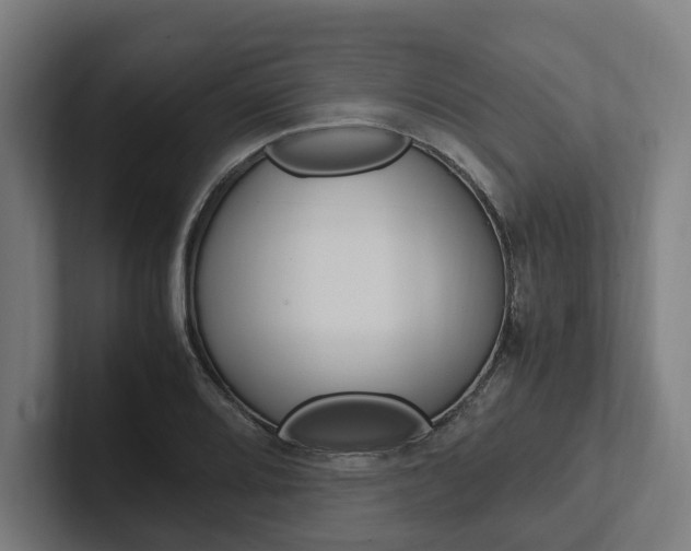 X0000102381080200808010909