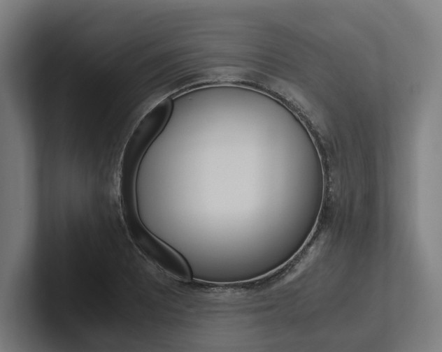 X0000102381081200808010909