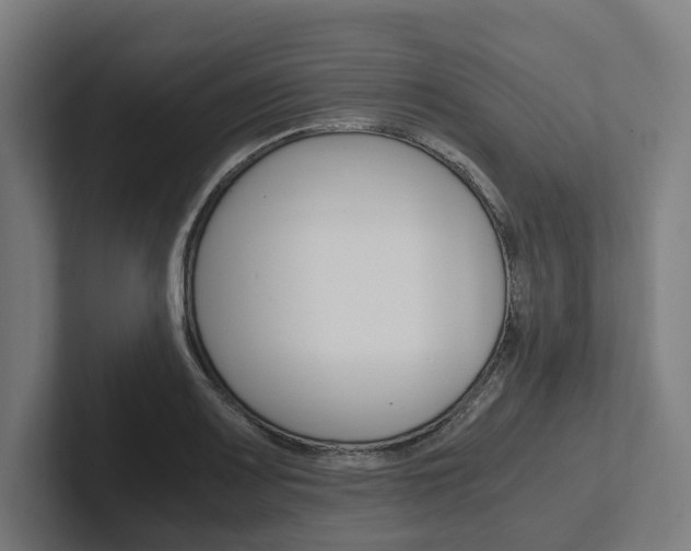 X0000102381083200808010909