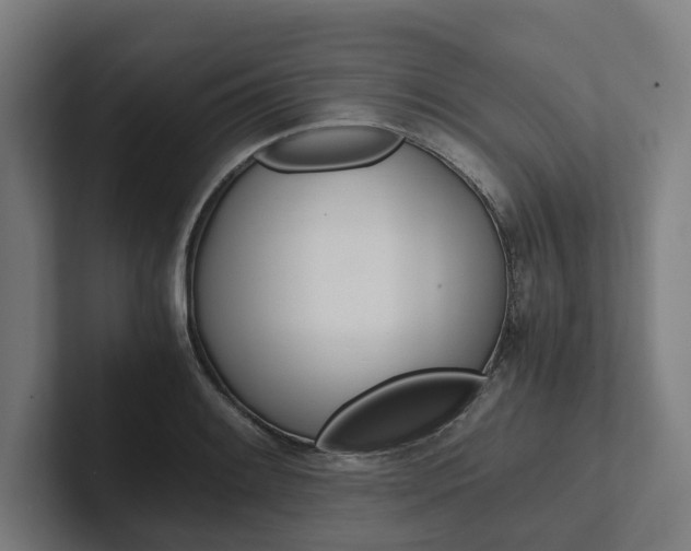 X0000102381084200808010909