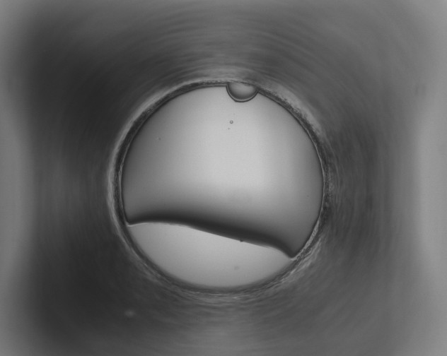 X0000102381085200808010909