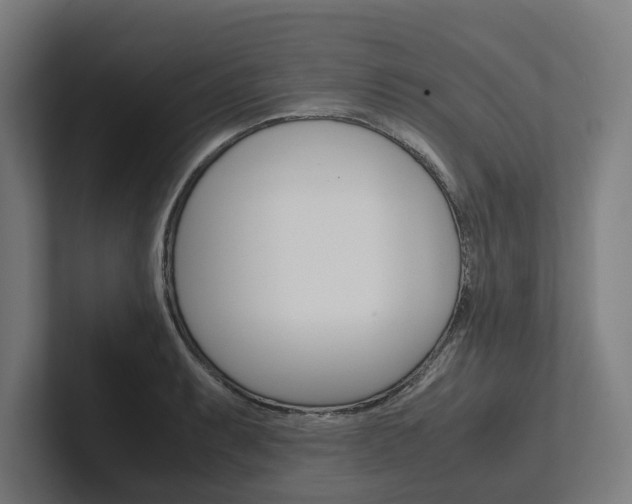 X0000102381087200808010909