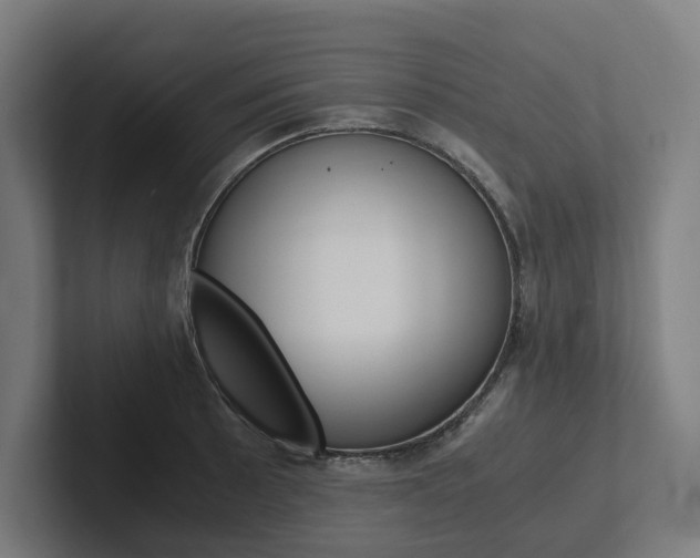 X0000102381089200808010909