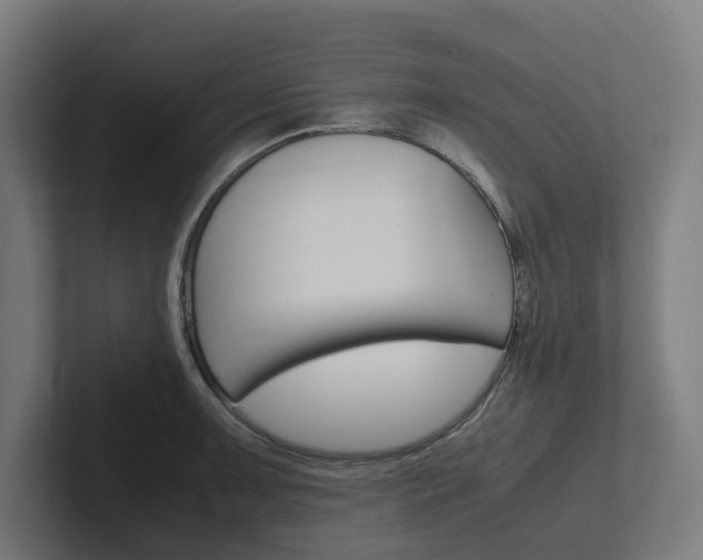 X0000102381091200808010909