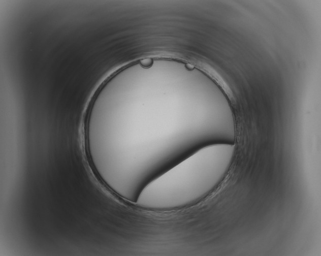 X0000102381092200808010909
