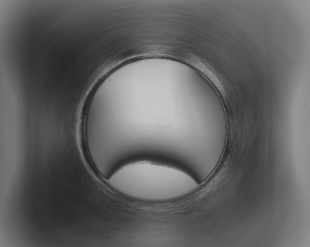 X0000102381093200808010909
