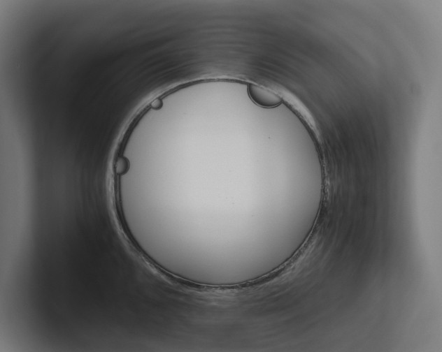 X0000102381096200808010909
