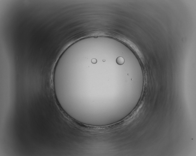 X0000102381097200808010909